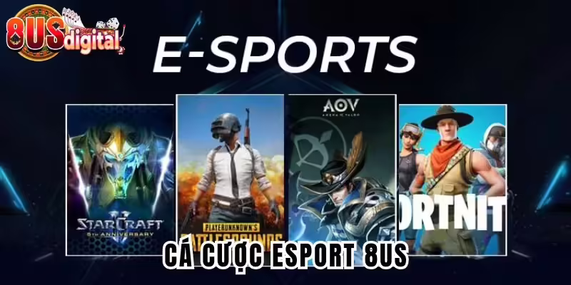 Cá cược esport 8US